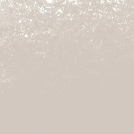 KOH-I-NOOR Polycolor Color Pencil 452 Warm Grey 2