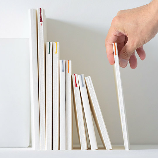 MIDORI MD Notebook Diary 2026 A5 Thin