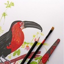 CLAIREFONTAINE Paint On White Mix Media Paper Pad 250gsm A4 x 40