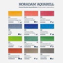 SCHMINCKE Horadam Watercolor 1/2 Pan Set x 24