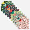 CLAIREFONTAINE Origami Paper Fruit Garden 70gsm 15cm x 15cm x 60