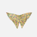 CLAIREFONTAINE Origami Paper Fruit Garden 70gsm 15cm x 15cm x 60