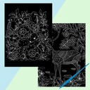 HINKLER Kaleidoscope Etch Art Creations Brilliant Nature