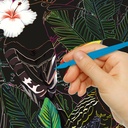 HINKLER Kaleidoscope Etch Art Creations Brilliant Nature