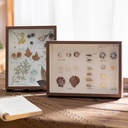 OVJ Wooden Shadow Box Picture Frame 23cm x 23cm Natural