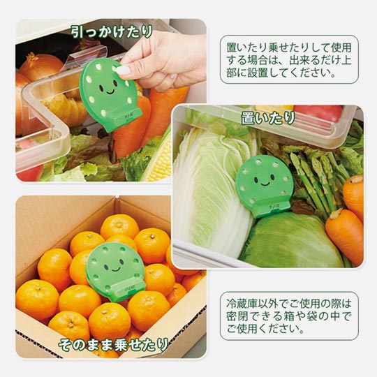 COGIT Vegista Vege-Coco Chan Vegetable Prolong Freshness