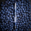 TWSBI Diamond 580AL R Navy Blue Fountain Pen Fine
