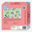 HINKLER OMC! Write On! Rock Painting Kit