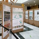 OVJ Boxers Corrugated Exibition Board H70cm x W67cm x L105cm (copy)