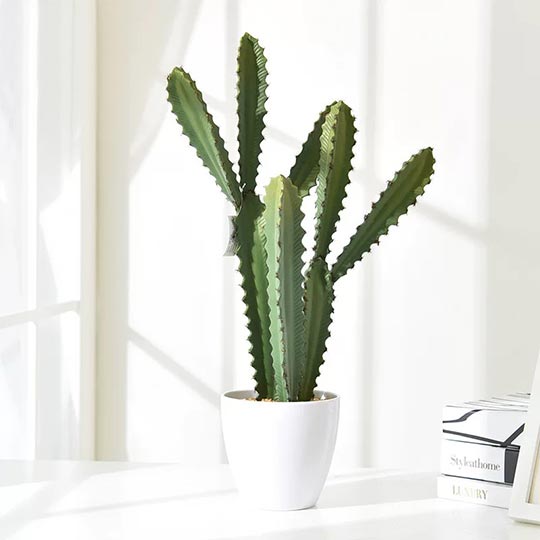 OVJ Artificial Potted Plant Chinese Evergreen 75cm (copy)