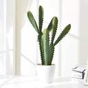 OVJ Artificial Potted Plant Chinese Evergreen 75cm (copy)