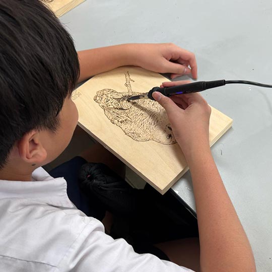 DISCOVER Pyrography Wood Burning By TASA