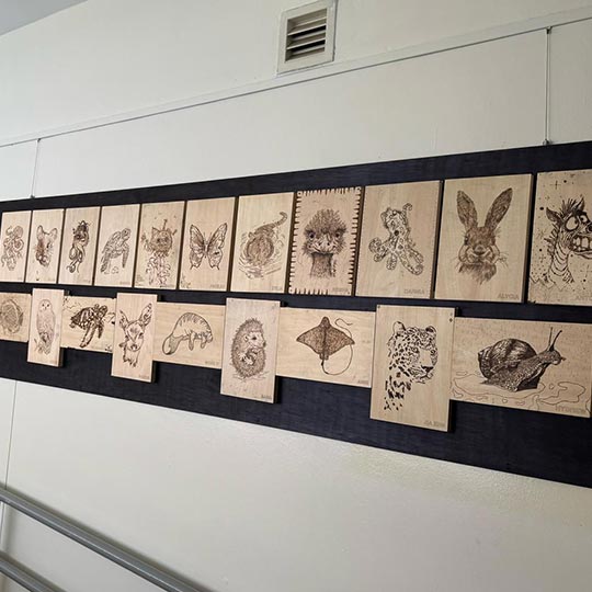 DISCOVER Pyrography Wood Burning By TASA