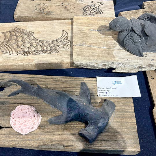 DISCOVER 3D Oceanarium By TASA