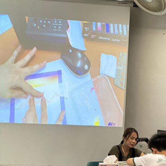 DISCOVER Flora Pastel By TASA