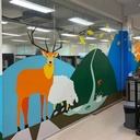 DISCOVER Tape Art By TASA