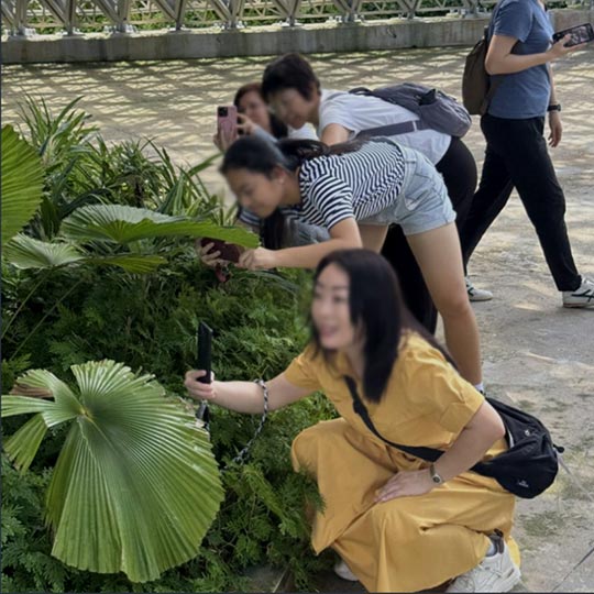 DISCOVER Photography By TASA