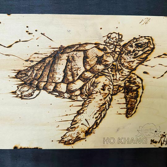 DISCOVER Pyrography Wood Burning By TASA