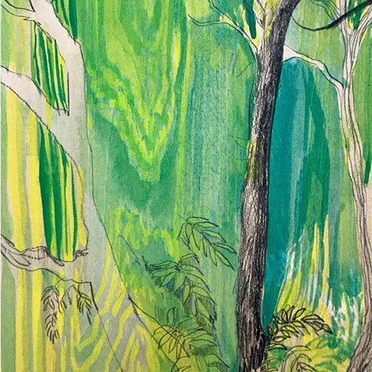 EXPERIENCE Artist In Residence By TASA