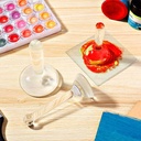 EXPERIENCE Making Watercolor By TASA