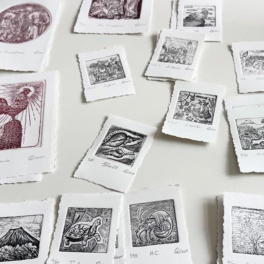 DISCOVER Non Toxic Etching Printmaking By TASA