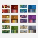 MARCO Artist Color Pencil Set x 300
