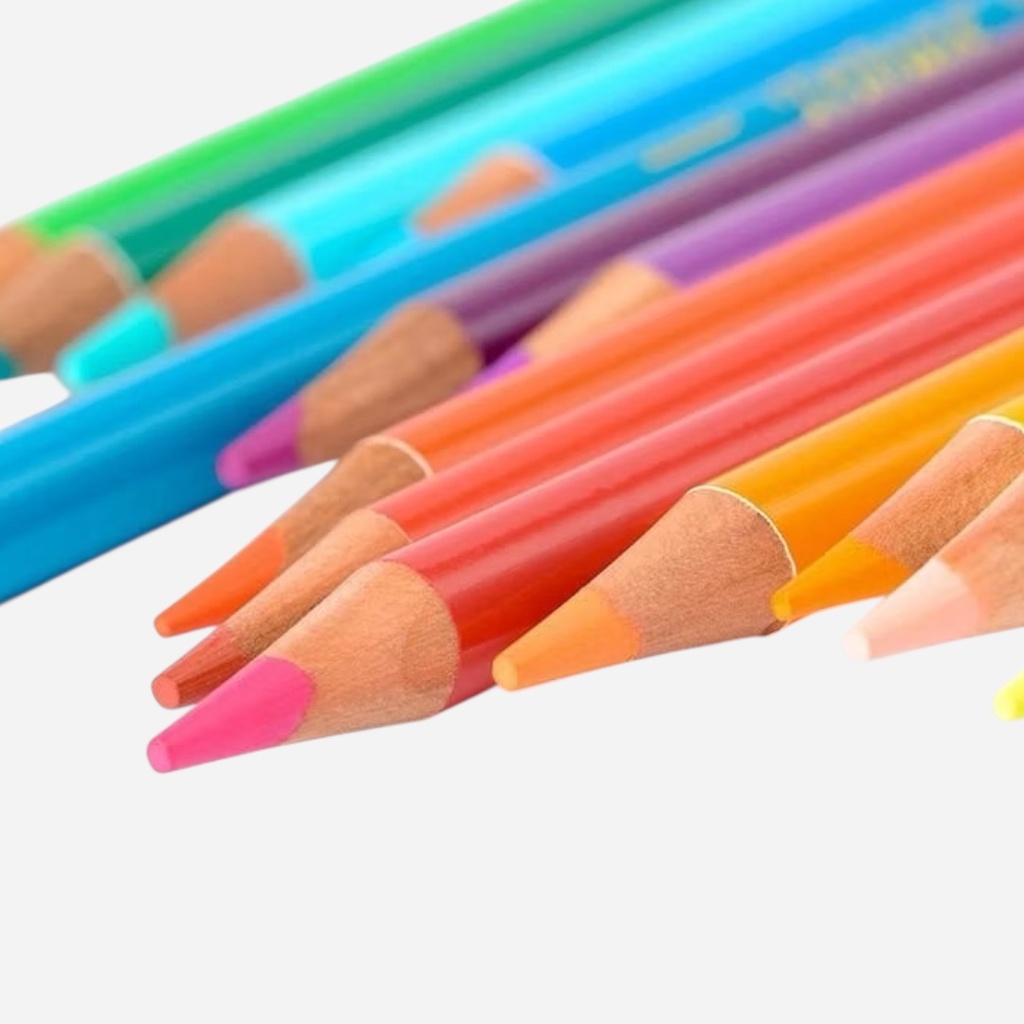 MARCO Artist Color Pencil Set x 300