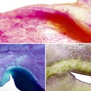 KURETAKE Gansai Tambi Japanese Watercolor Pan Granulating Set x 5