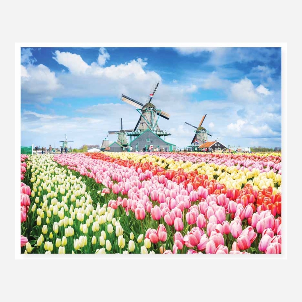 HINKLER Mindbloggers Jigsaw Puzzle 1000 Pieces - Dutch Windmills, Netherlands