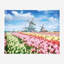 HINKLER Mindbloggers Jigsaw Puzzle 1000 Pieces - Dutch Windmills, Netherlands