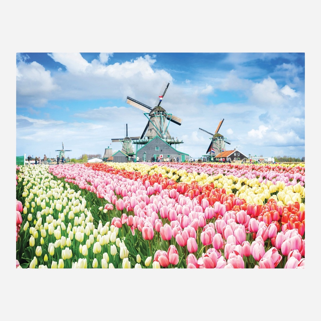 HINKLER Elevate Jigsaw Puzzle 300 Pieces - Windmills, Netherlands