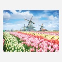 HINKLER Elevate Jigsaw Puzzle 300 Pieces - Windmills, Netherlands
