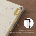 MIDORI Index Clip Chiratto Brass x 8