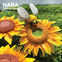 NARA Air Dry Clay Flexible 250g White