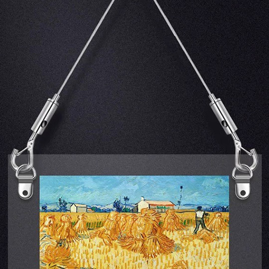 OVJ Picture Hanging System 2m