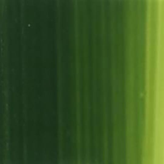 HOLBEIN Duo Water-Mixable Oil 20ml Sap Green