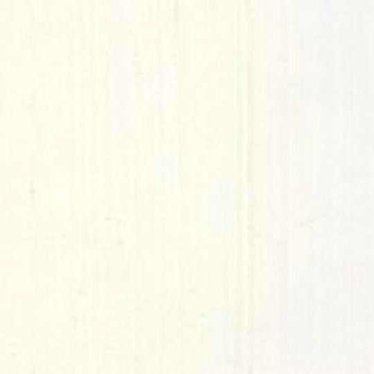 HOLBEIN Academic Oil Color 60ml Titanium White