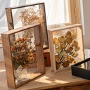 OVJ Wooden Shadow Box Frame 6cm x 15cm x 20cm Walnut