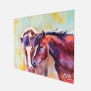 MONICA.LIM Wild Horses Collection No.1