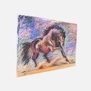 MONICA.LIM Wild Horses Collection No.2