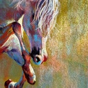 MONICA.LIM Wild Horses Collection No.3