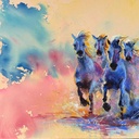 MONICA.LIM Wild Horses Collection No.4