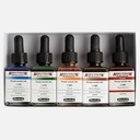 SCHMINCKE Aero Color Acrylic Ink 28ml Set x 5 By Melina Wuggonig