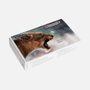 SCHMINCKE Aero Color Acrylic Ink 28ml Set x 5 By Melina Wuggonig