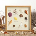 OVJ Wooden Shadow Box Picture Frame 23cm x 23cm Natural