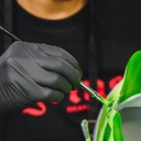 ANGELUS Acrylic Leather Paint 29.5ml Tangerine