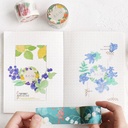 BGM Washi Tape 30mm Figs