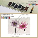 BOKU-UNDO Japanese Watercolor Shadow Black Mel Set x 6
