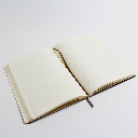 CLAIREFONTAINE Age Bag Thread-Bound Grid Bullet Journal 90gsm A5 x 96 Black