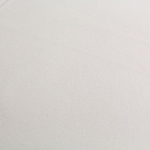 CLAIREFONTAINE Alpha Lavis Drawing Paper 200gsm 50cm x 65cm x 125